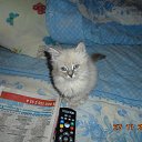 ���� ����, ����������, 73 ���� - ��������� 27 ����� 2016 � ������ ������ ��������
