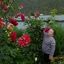 ���� ������, ����������, 69 ��� - ��������� 22 ������� 2016 � ������ ���� ����������