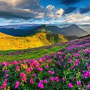 ���� ������, ������, 21 ��� - ��������� 22 ����� 2016 � ������ ���� ����������