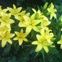 ��� ����� �� ������� ���� ����������