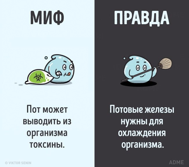 10    ,   . - 9