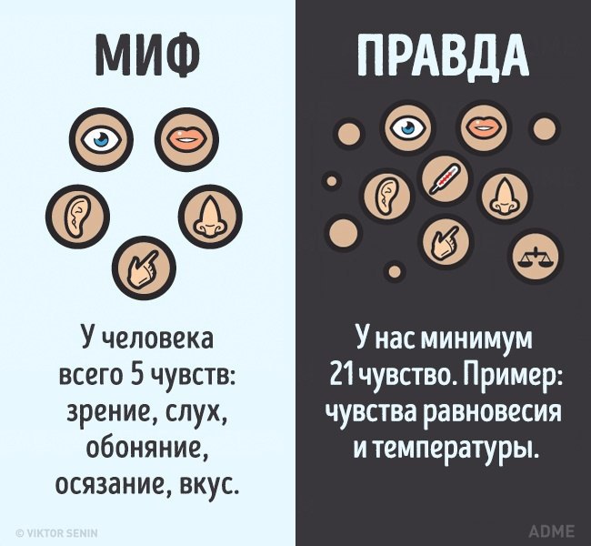 10    ,   . - 5