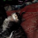 ���� �����, ������, 37 ��� - ��������� 6 ������� 2016 � ������ ������ ��������