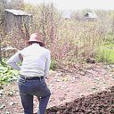 ���� ����, �����, 57 ��� - ��������� 30 ��� 2016 � ������ ���� ����������