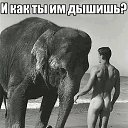 ���� �������, �����������, 49 ��� - ��������� 30 ����� 2016 � ������ ������ ��������