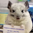  , - -  10  2016   !!!