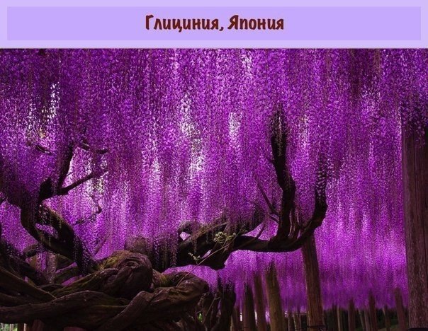 ,        - 6