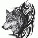  , , 53  -  25  2016   TRIBAL