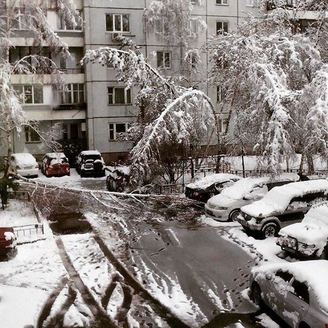    - 3