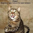 ���� Semki Stas, ��������, 42 ���� - ��������� 2 ������� 2016 � ������ ���� ����������
