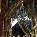 ���� ������, �����, 65 ��� - ��������� 21 ���� 2016 � ������ ���� ����������