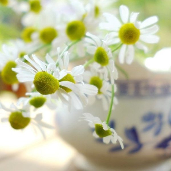 Если вы хотите сделать что-то великое в один прекрасный день, помните: один прекрасный день — это ... - 2