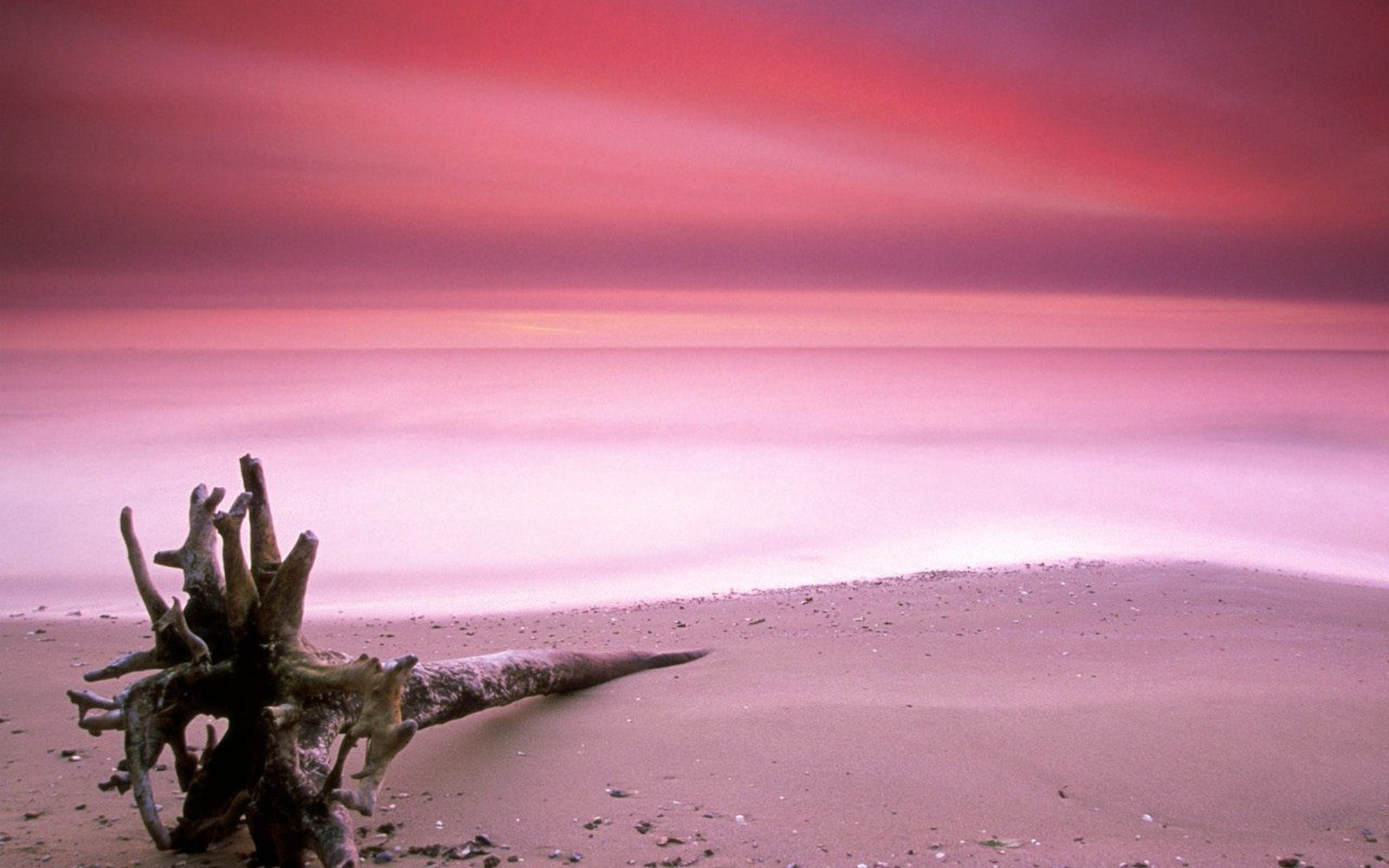      : PINK SANDS BEACH. ,    ! ... - 3