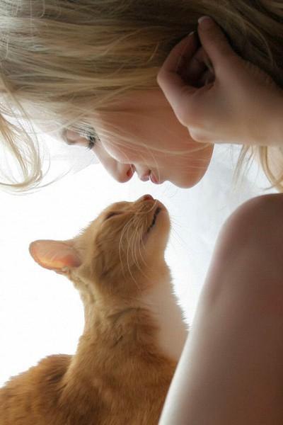 Сначала ты думаешь, что никого никогда не полюбишь, а потом в твоей жизни появляется кот...