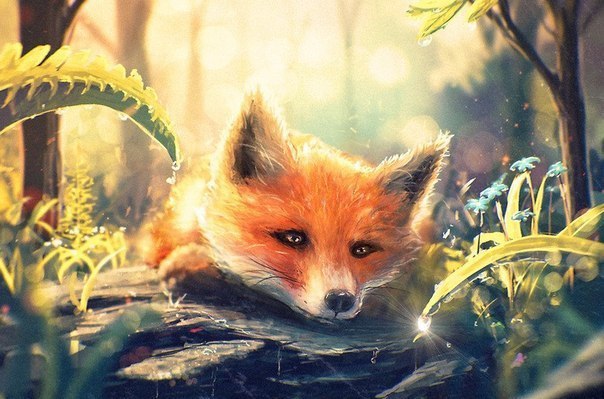 Art & Fun - 8  2016  21:07
