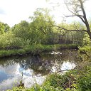 �������� �� ������� ���� �� ������� ������� 2016�