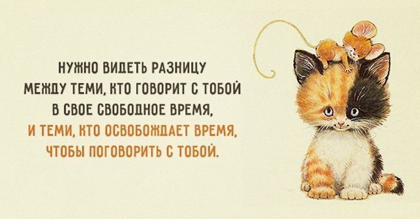       - 22  2016  15:13
