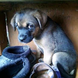 ���� ������, ����� - ��������� 29 ���� 2016