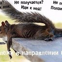 ���� ������, ���������, 57 ��� - ��������� 17 ������ 2016 � ������ ������ ��������