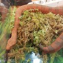 ���� ������, ������, 51 ��� - ��������� 25 ������ 2016 � ������ �����������-11�