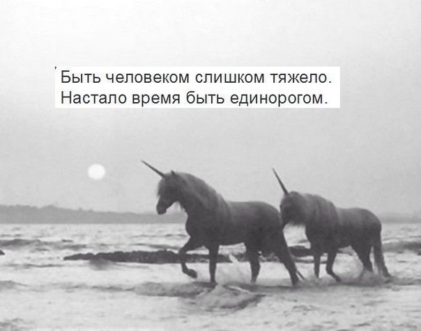   - 1  2016  14:04