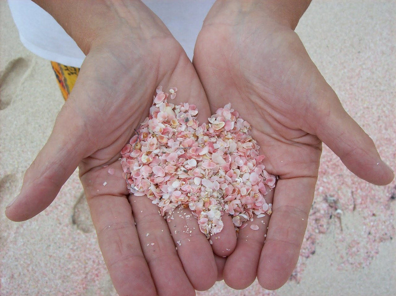      : PINK SANDS BEACH. ,    ! ... - 5