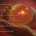 ���� Ashraf66, ����, 59 ��� - ��������� 21 ����� 2016 � ������ ������ ��������