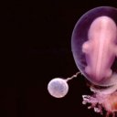 ���� ������, �����������, 50 ��� - ��������� 23 ����� 2016 � ������ ���� ����������