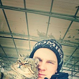 ���� �����, ��������, 32 ���� - ��������� 17 ������� 2016