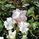  , , 60  -  16  2016    ,,18.05.16.