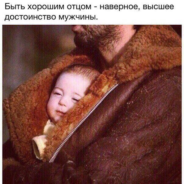   -  ,  -  - 23  2016  08:01
