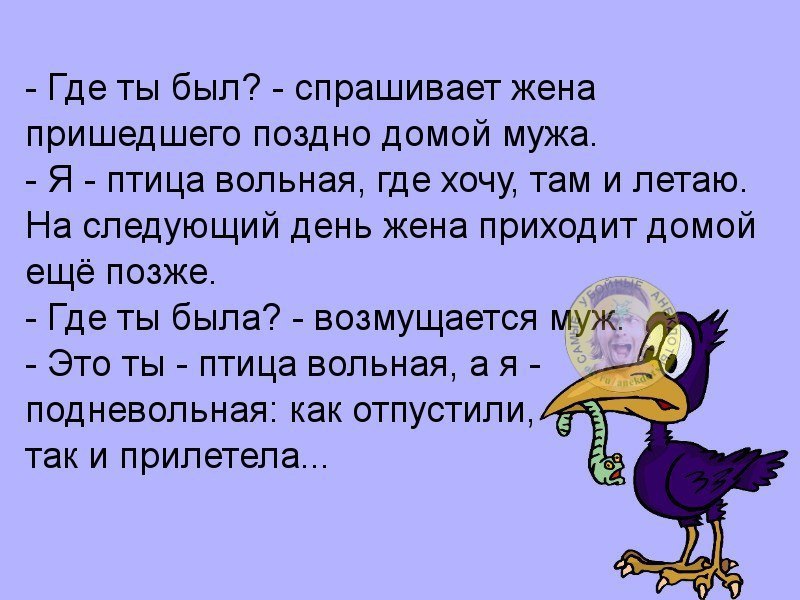 Приходя домой поздно. Анекдоты про птиц. Анекдоты про птичек. Приколы про птиц анекдоты. Анекдот про птицу вольную.