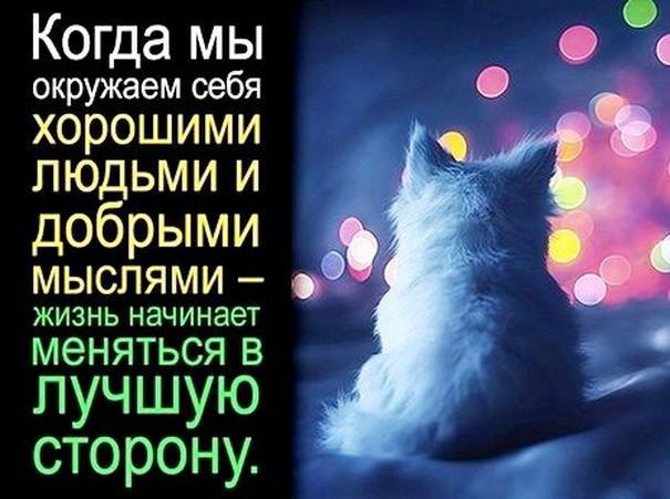   - 3  2016  18:30