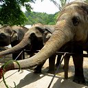 ���� ������, ������������, 69 ��� - ��������� 21 ������� 2016 � ������ ��������