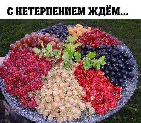 Art & Fun - 1  2016  21:09