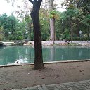  , , 35  -  12  2016   Vacation Abkhazya 2014 November