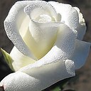 ���� �������, ���� - ��������� 5 ������ 2016 � ������ ������ ��������