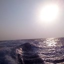 ���� �����, ������ ��������, 61 ��� - ��������� 6 ������� 2016 � ������ ������� .�