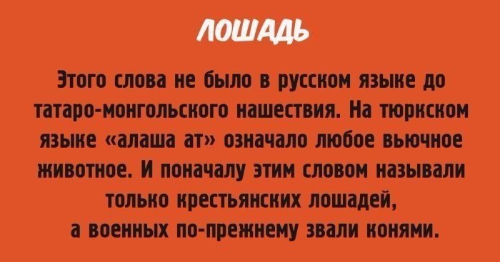   . - 5