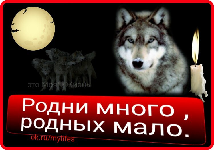 Родная много. Родственников много родных. Родни много. Родни много родных мало. Родни много родных.