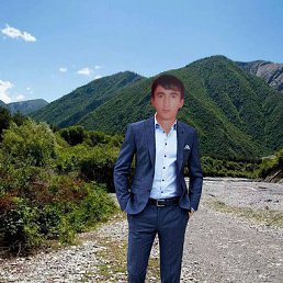  Elcan, , 36  -  13  2016