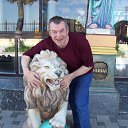 ���� Aleksandr, ��������� - ��������� 31 ��� 2016 � ������ ���� ����������