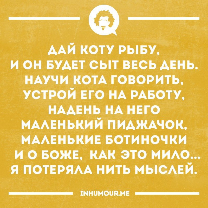   - 29  2016  18:13