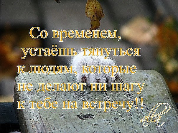 Ты никогда не ценишь, что имеешь