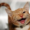 ���� ������, ������������ - ��������� 7 ������� 2016 � ������ ������ ��������