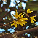  , , 60  -  23  2016       ,18-20.03.16