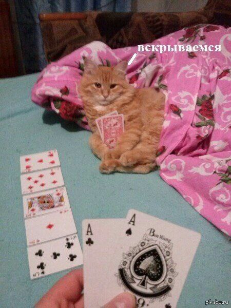 Не во всякой игре тузы выигрывают! К.Прутков