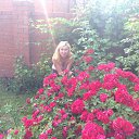 ���� �����, ������� - ��������� 4 ���� 2016 � ������ ���� ����������