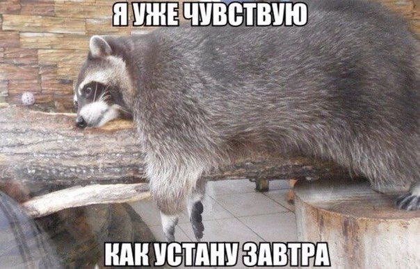   - 24  2016  22:07