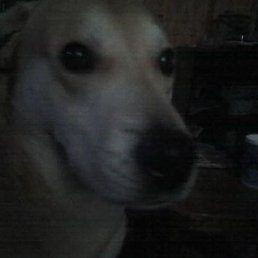 ������, ������, 43 ����